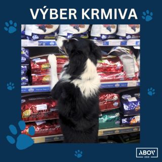 Výber správneho krmiva je kľúčový pre zdravie vášho psíka. 🐾 Každé plemeno má špecifické potreby, ktoré treba zohľadniť...
