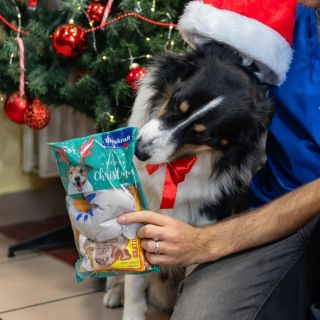 Vianočný darček pre vášho miláčika?🎁 Tento balíček plný pamlskov patrí k najobľúbenejším u nás na e-shope aj v predajni.🎄...